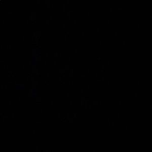 Meet your Posher, Bashayer